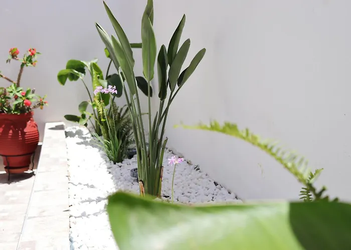 Casa Metropolis Appartamento Rhodes City