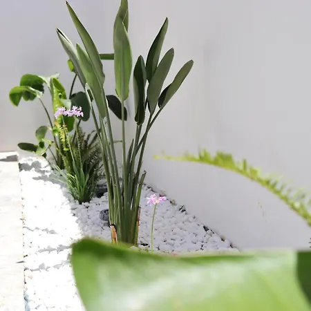 Casa Metropolis Lägenhet Rhodes City