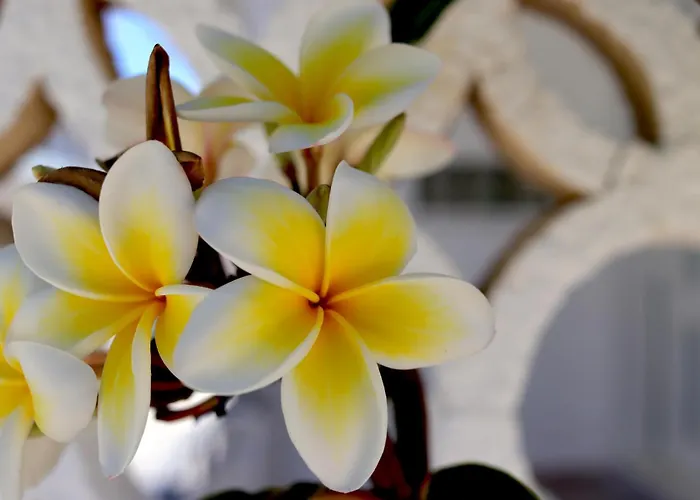 Casa Metropolis * Rhodes City